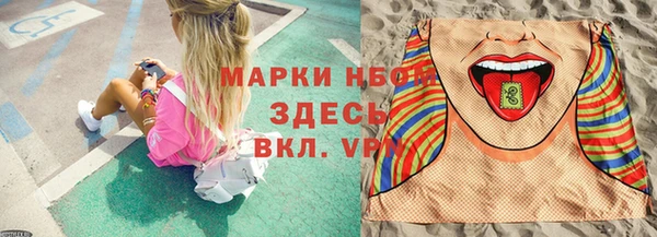 прущие грибы Алзамай