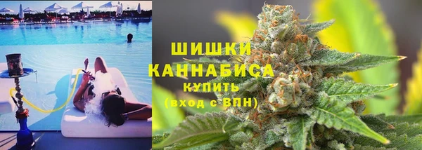 ПСИЛОЦИБИНОВЫЕ ГРИБЫ Арсеньев